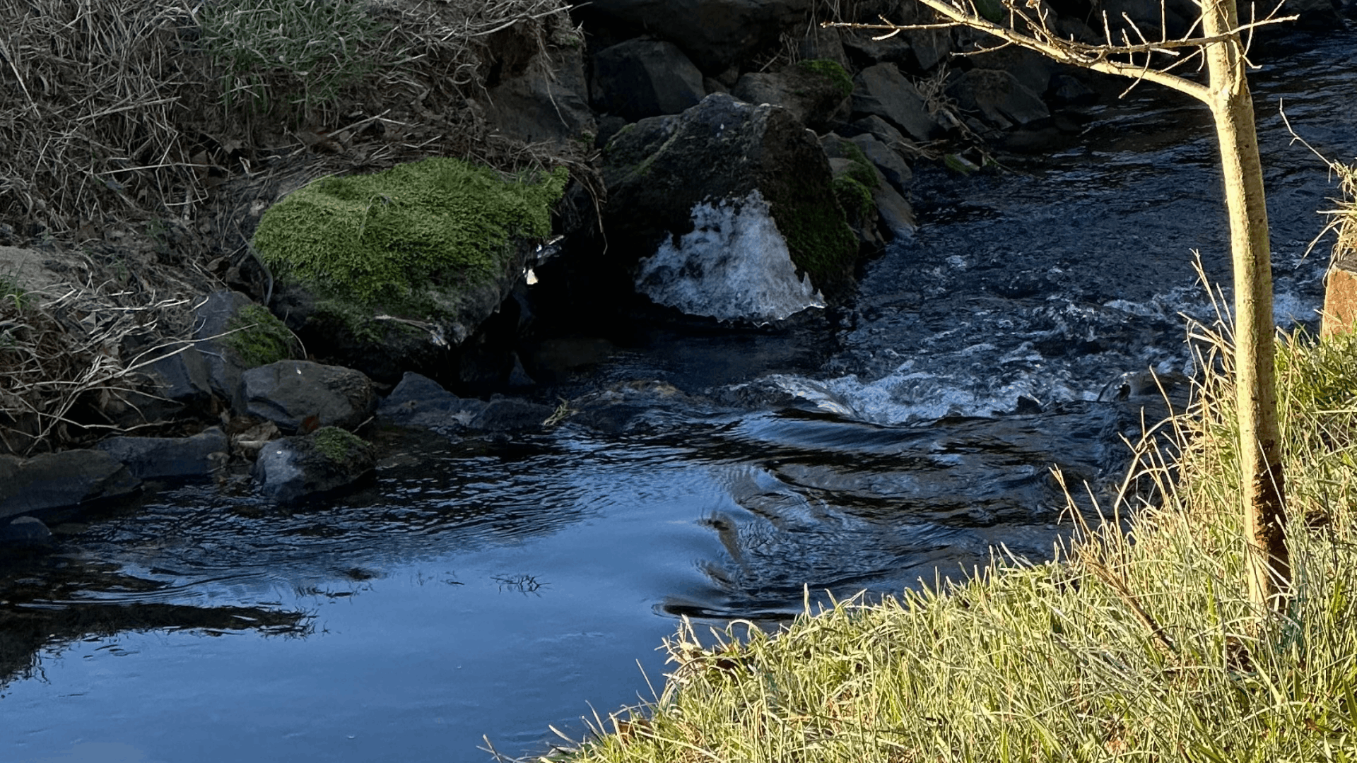 Wenn die Geburt Spuren hinterlässt I Begleitung nach einer belastenden Geburt
