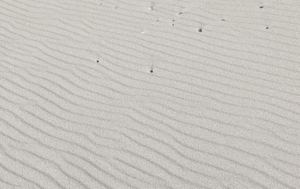 Spuren im Sand
